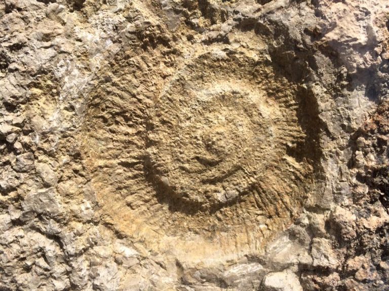 Pack Caminito del Rey PREMIUM 6 768x576