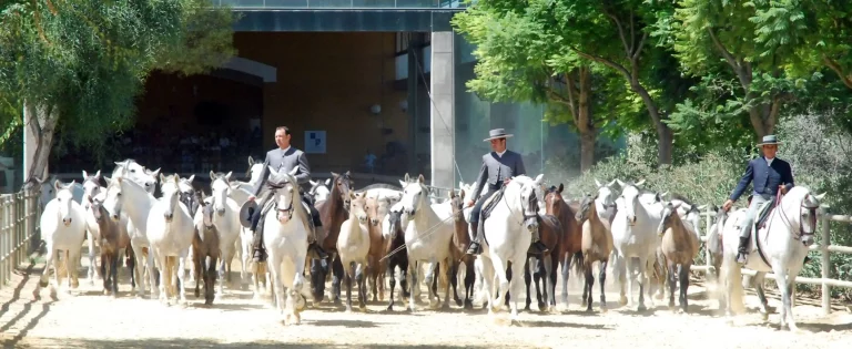 Yeguada Cartuja Hierro del Bocado 1 768x315