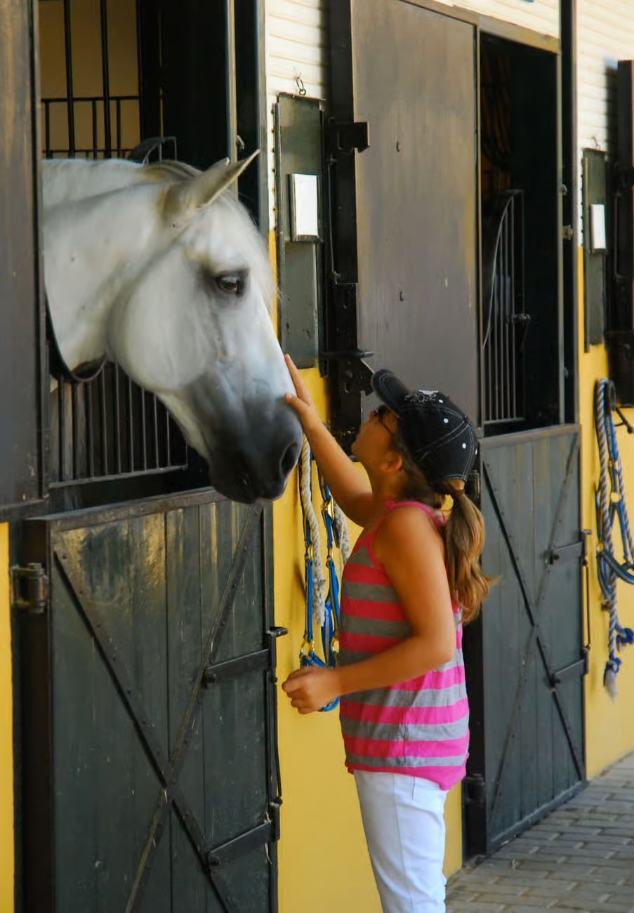 Yeguada Cartuja visita a establos