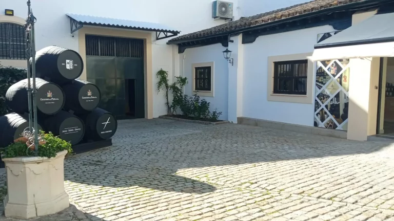 Visita guiada a Bodega de Jerez con Cata de vinos 1 768x432