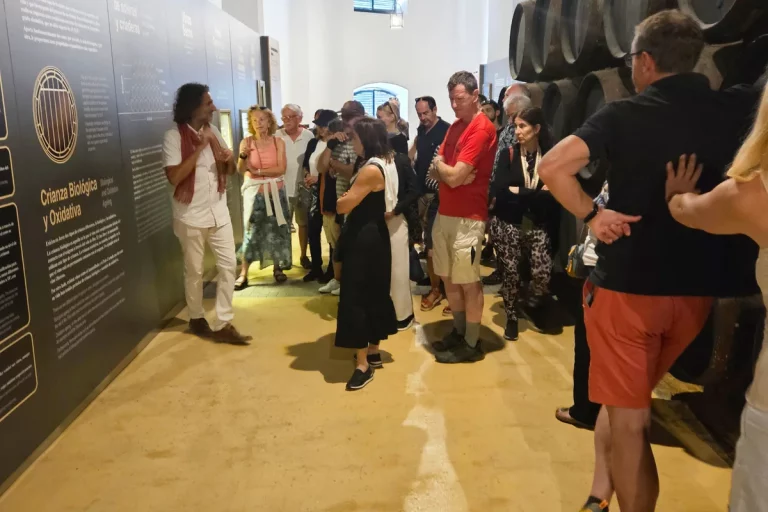 grupo escuchando explicacion bodega cayetano del pino visita guiada bodega jerez de la frontera  768x512