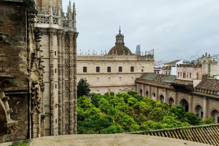 vista desde giralda catedral sevilla tour guiado naturanda 1 768x512