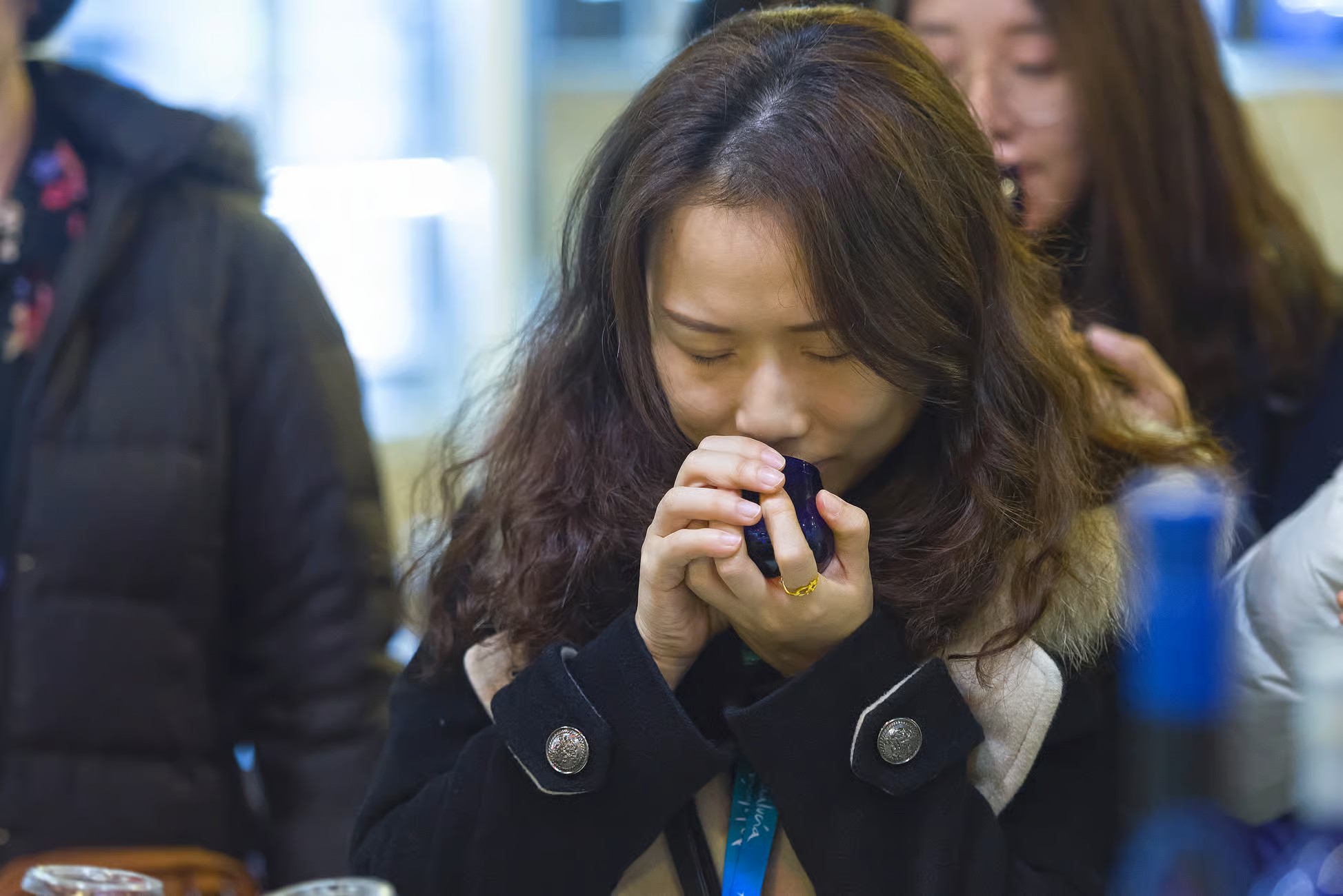 Degustación de aceites de oliva en Jaén 