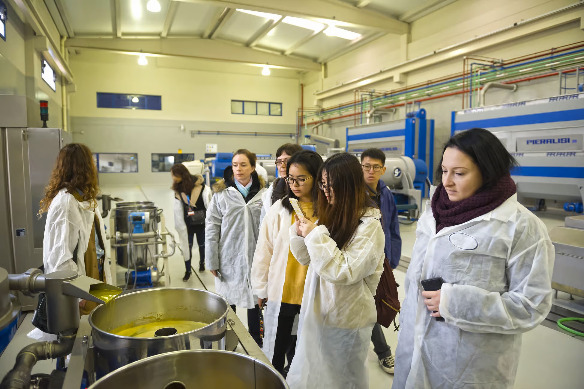 Degustación de aceites de oliva en Jaén 