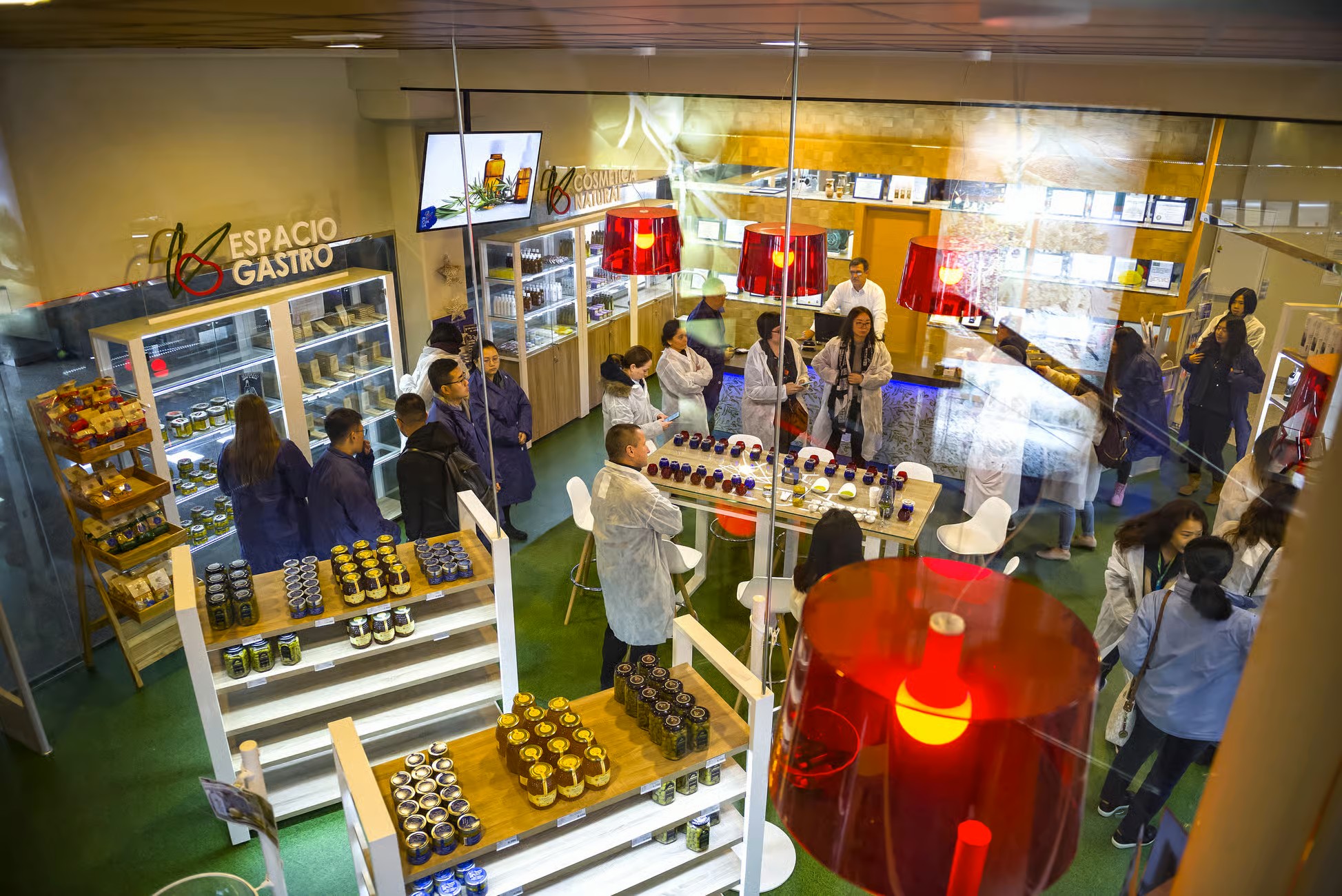 Degustación de aceites de oliva en Jaén 