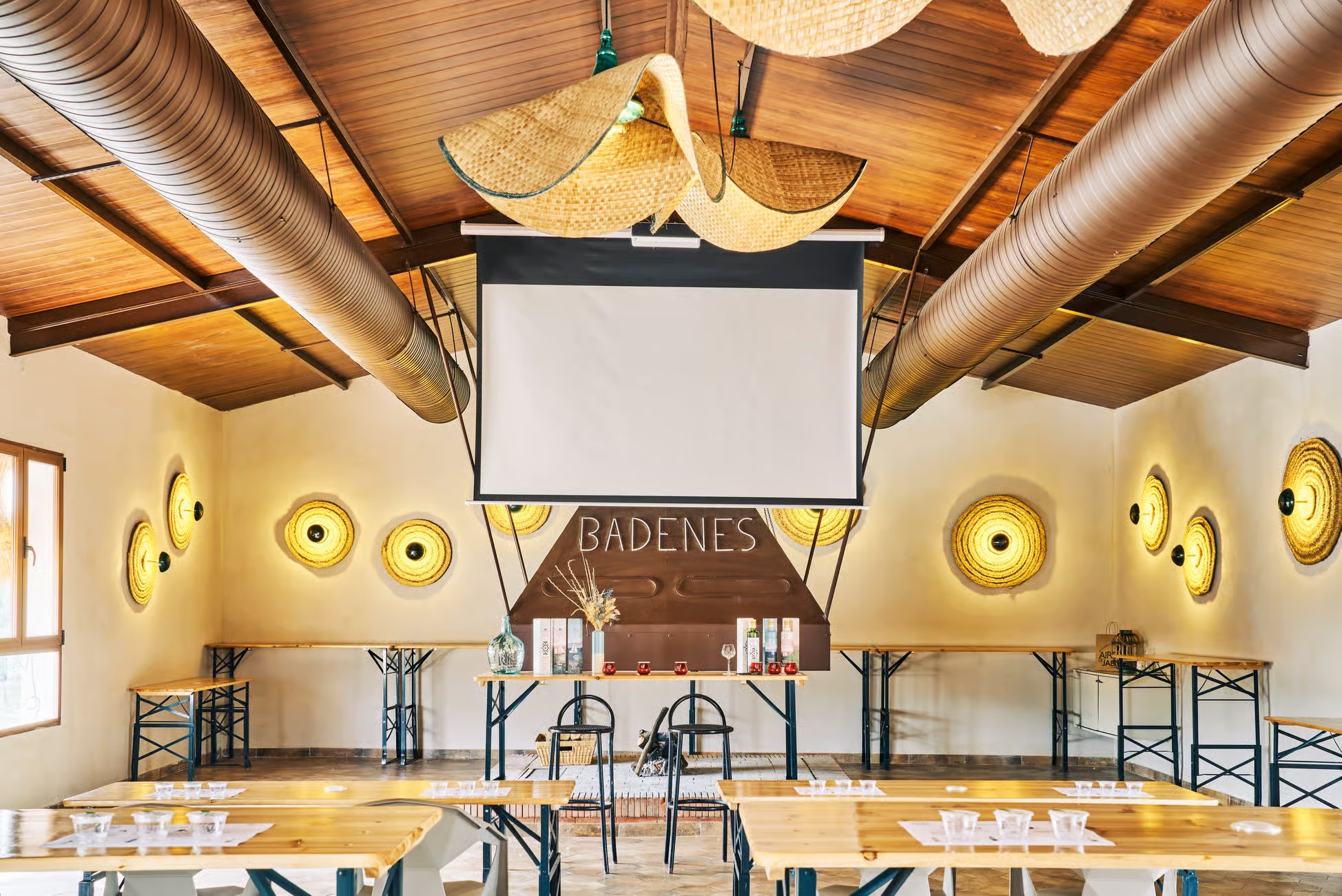 Ruta del aceite de oliva con los 5 sentidos, olivar y cata