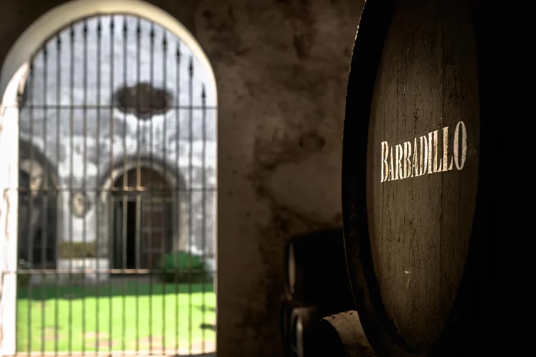 bodegas barbadillo cata de vinos 2 768x512