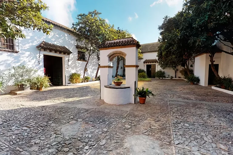 bodegas barbadillo cata de vinos 3 768x512