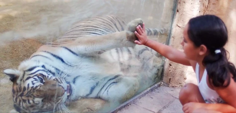 entrada al minihollywood de tabernas y oasys 2 768x368