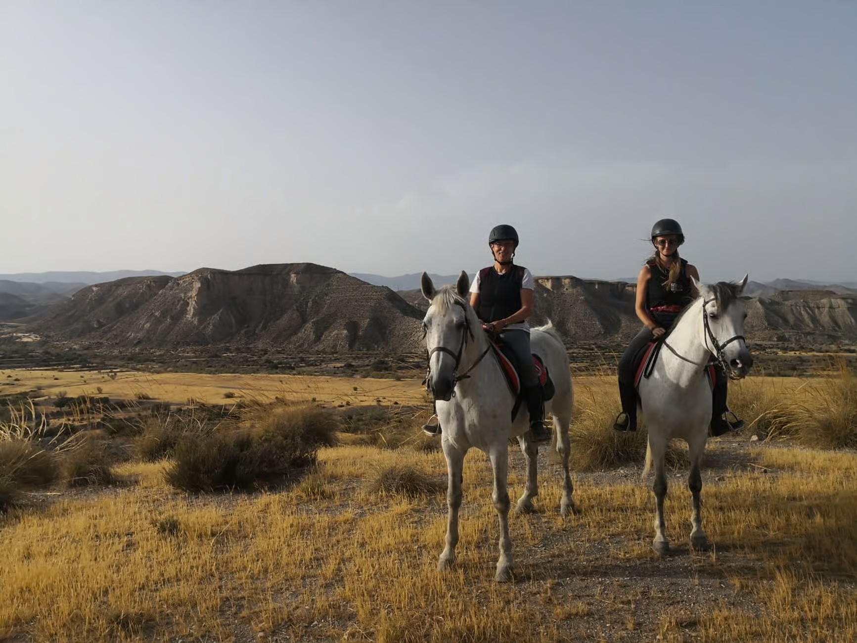 Excursion a caballo por Tabernas