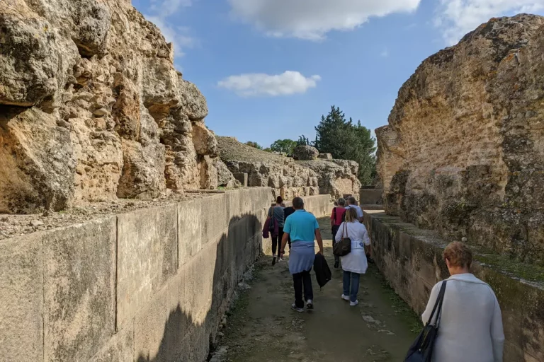 excursion a italica desde sevilla con visita guiada 3 768x512