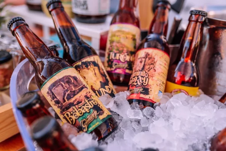 Cata de cervezas Gaitanejo 2 1 768x513