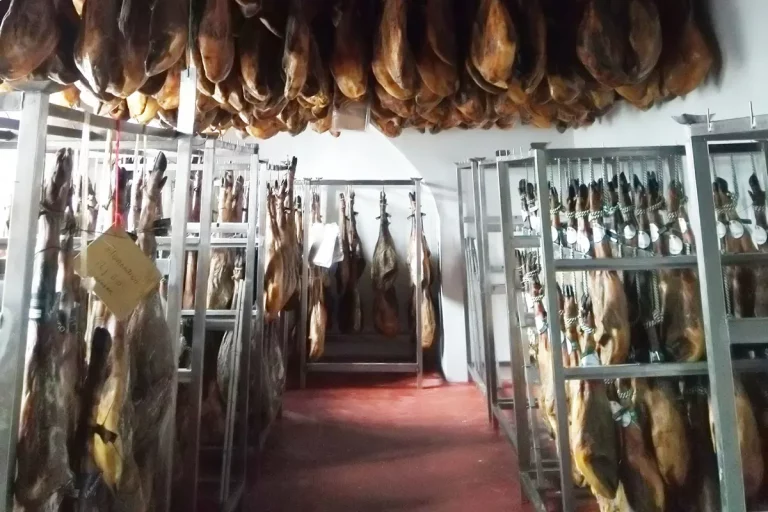 Ruta del jamon iberico en Aracena 1 768x512
