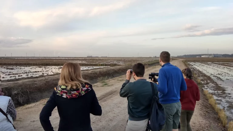 Ruta en 4×4 por el norte de Donana desde el Rocio 2 768x432