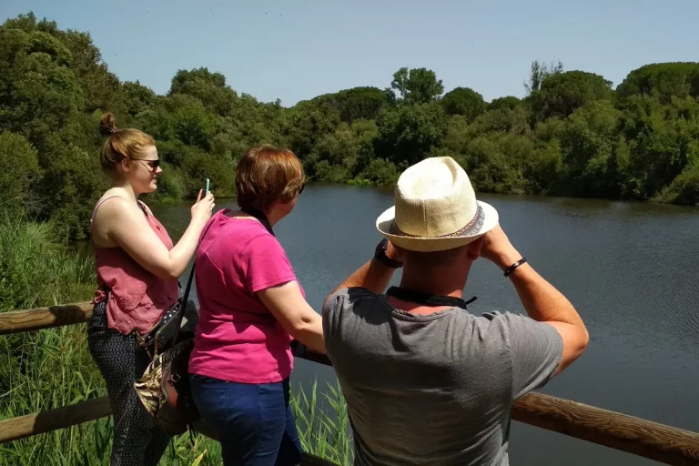 grupo avistando aves visita guiada donana naturanda 1 2 768x512