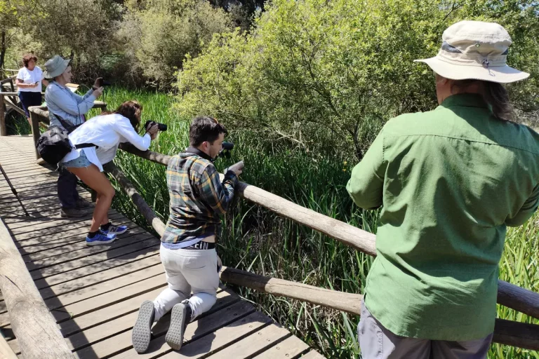 haciendo fotos a fauna en sendero visita guiada donana naturanda 1 768x512