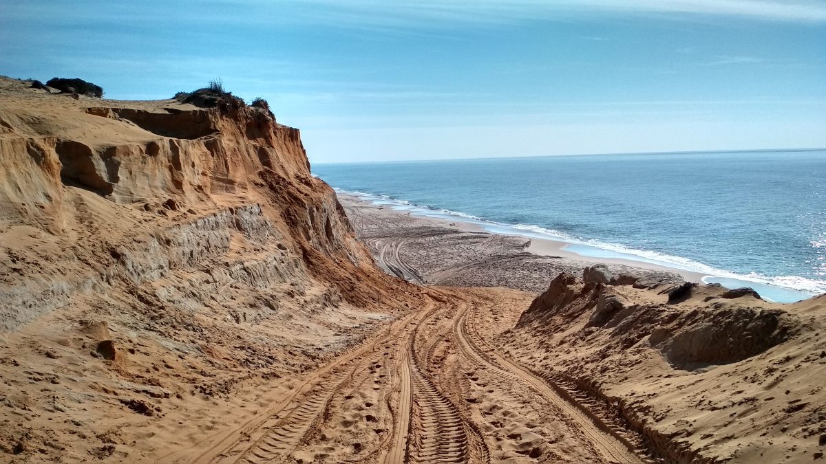 Tour en 4x4 por Doñana Sur