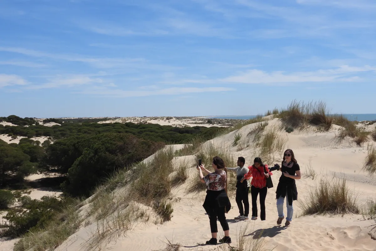 Tour en 4x4 por Doñana Sur