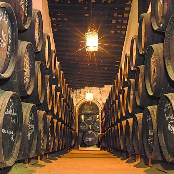 Jerez de la Frontera desde Málaga - Visita a bodega + Cata + espectáculo de Caballos