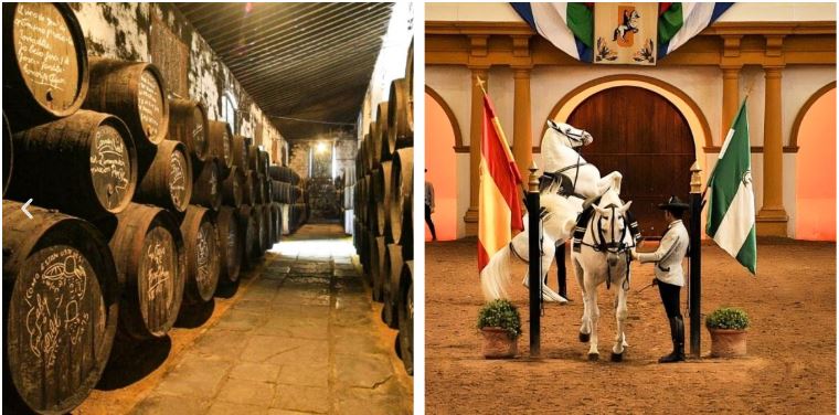 Jerez de la Frontera desde Málaga - Visita a bodega + Cata + espectáculo de Caballos