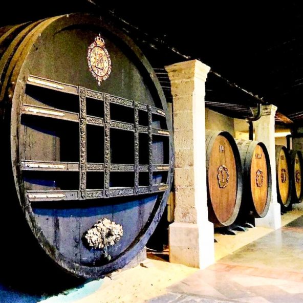 Jerez de la Frontera desde Málaga - Visita a bodega + Cata + espectáculo de Caballos
