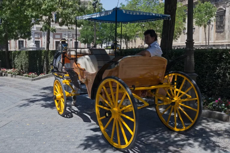 Paseo en calesa de caballos por sevilla 10 1 768x512