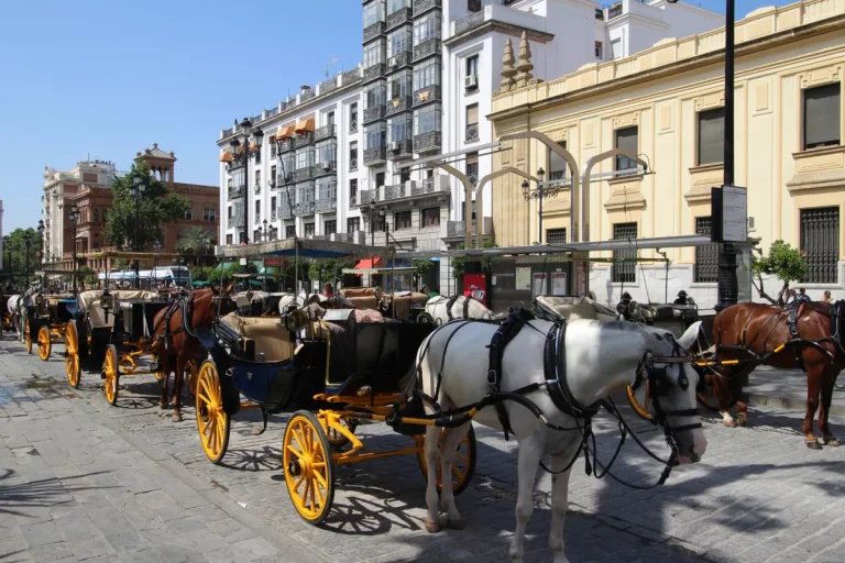 Paseo en calesa de caballos por sevilla 6 1 768x512