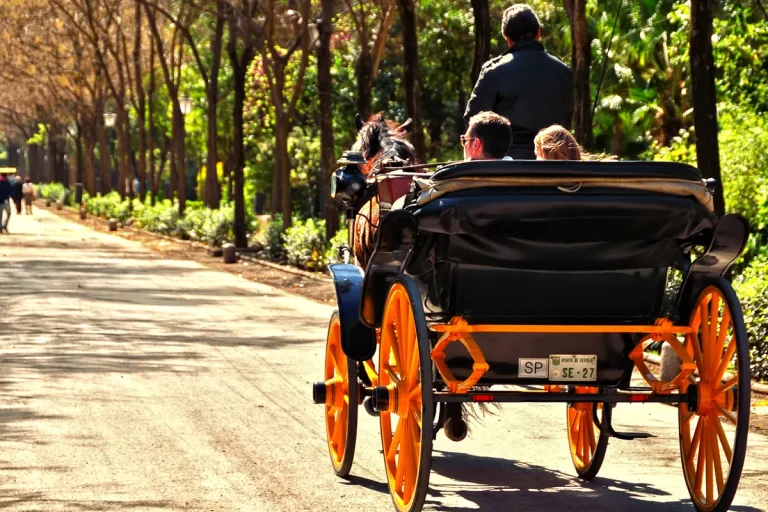Paseo en calesa de caballos por sevilla 7 1 768x512