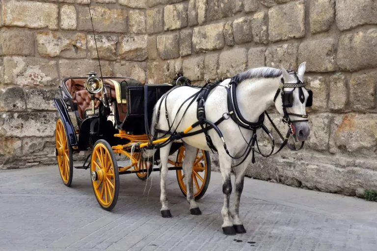 Paseo en calesa de caballos por sevilla 8 1 768x512