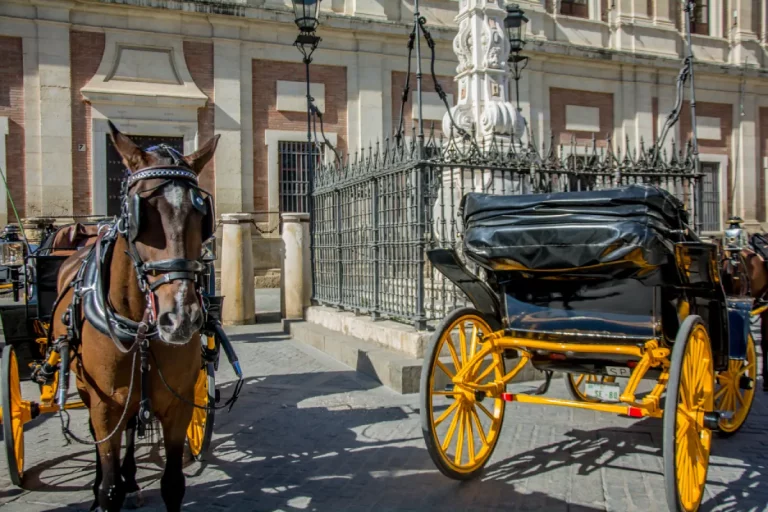 Paseo en calesa de caballos por sevilla 9 1 768x512