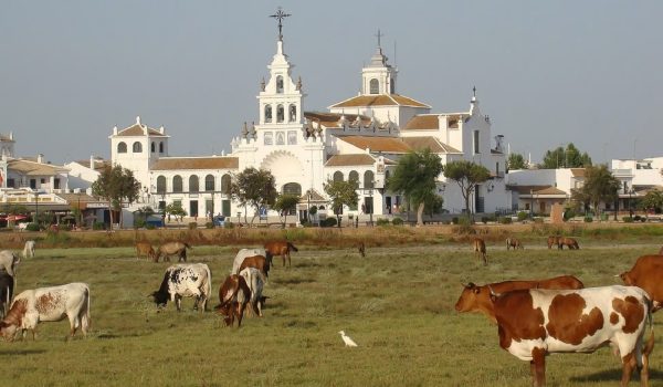 Huelva Rocio y Doñana